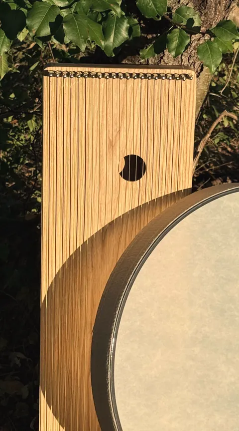A wooden monochord leaning against a tree, with an ocean drum resting in front of it in late sunlight